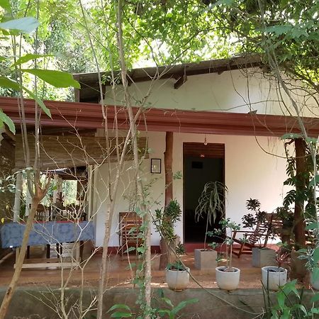 Thilina Homestay Sigiriya Ruang foto