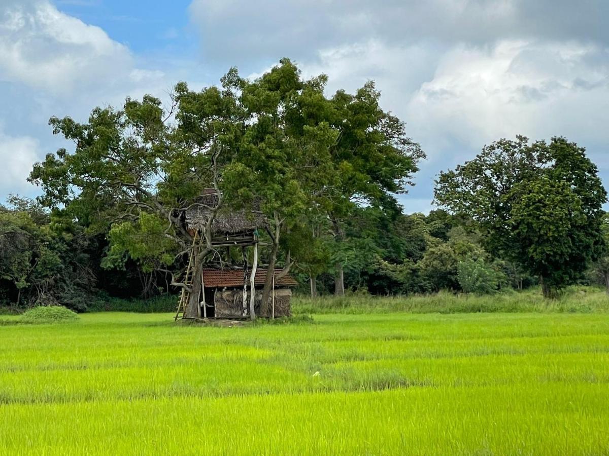 Thilina Homestay Sigiriya Bagian luar foto