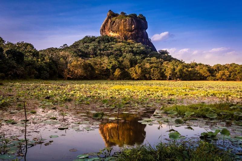 Thilina Homestay Sigiriya Bagian luar foto